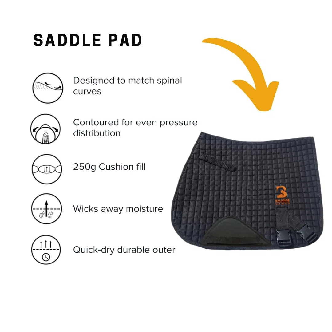 Sistema de banda equina. Ayuda de entrenamiento básico para zancadas y montar a caballo. Almohadilla multiusos y bandas de grado profesional Equine Balance Bands.