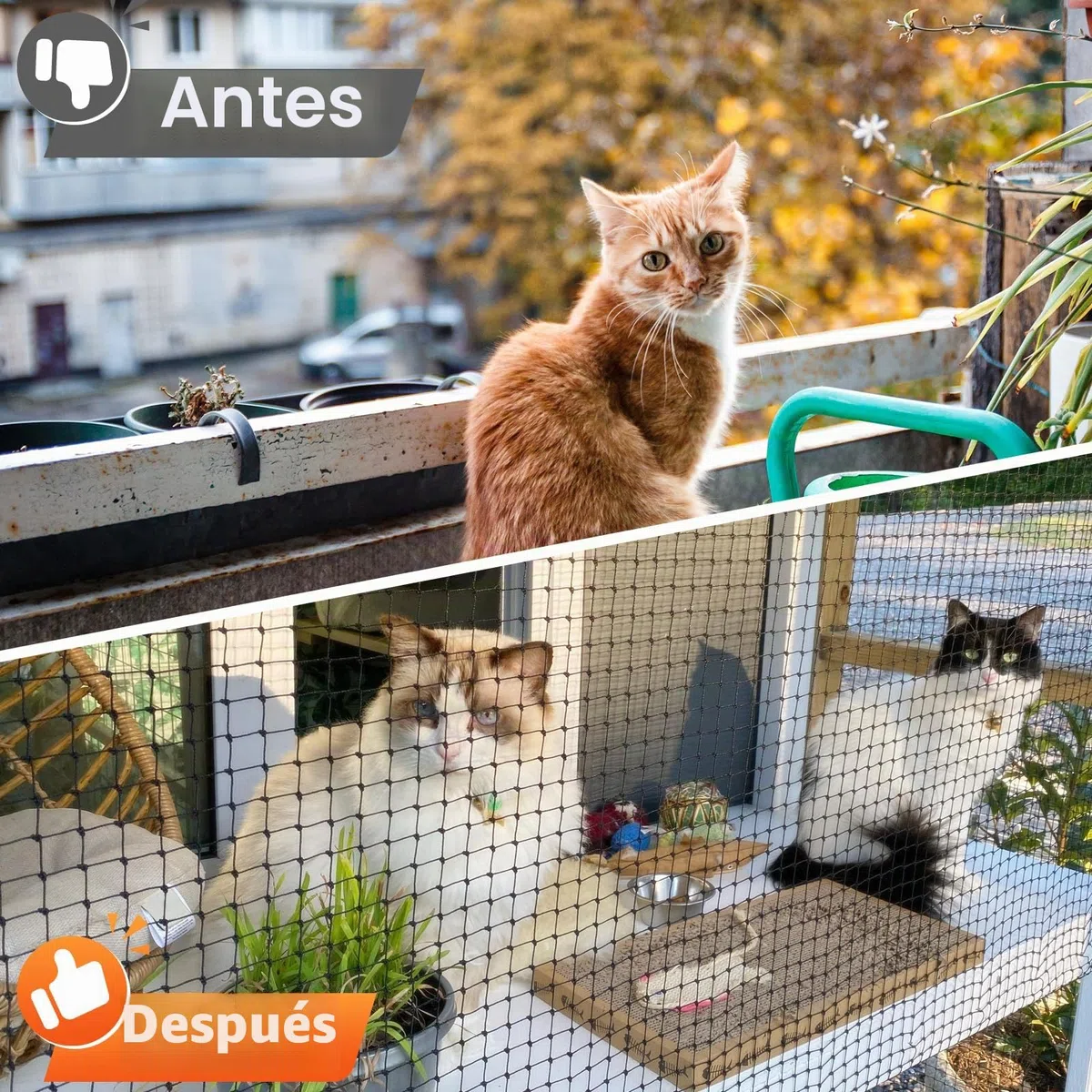 CENOVE Red para Gatos Reforzada con Alambre, 8x3m Red Protección para Gatos Terraza de sin Taladro para Balcones, Ventanas, Tragaluces y Puertas