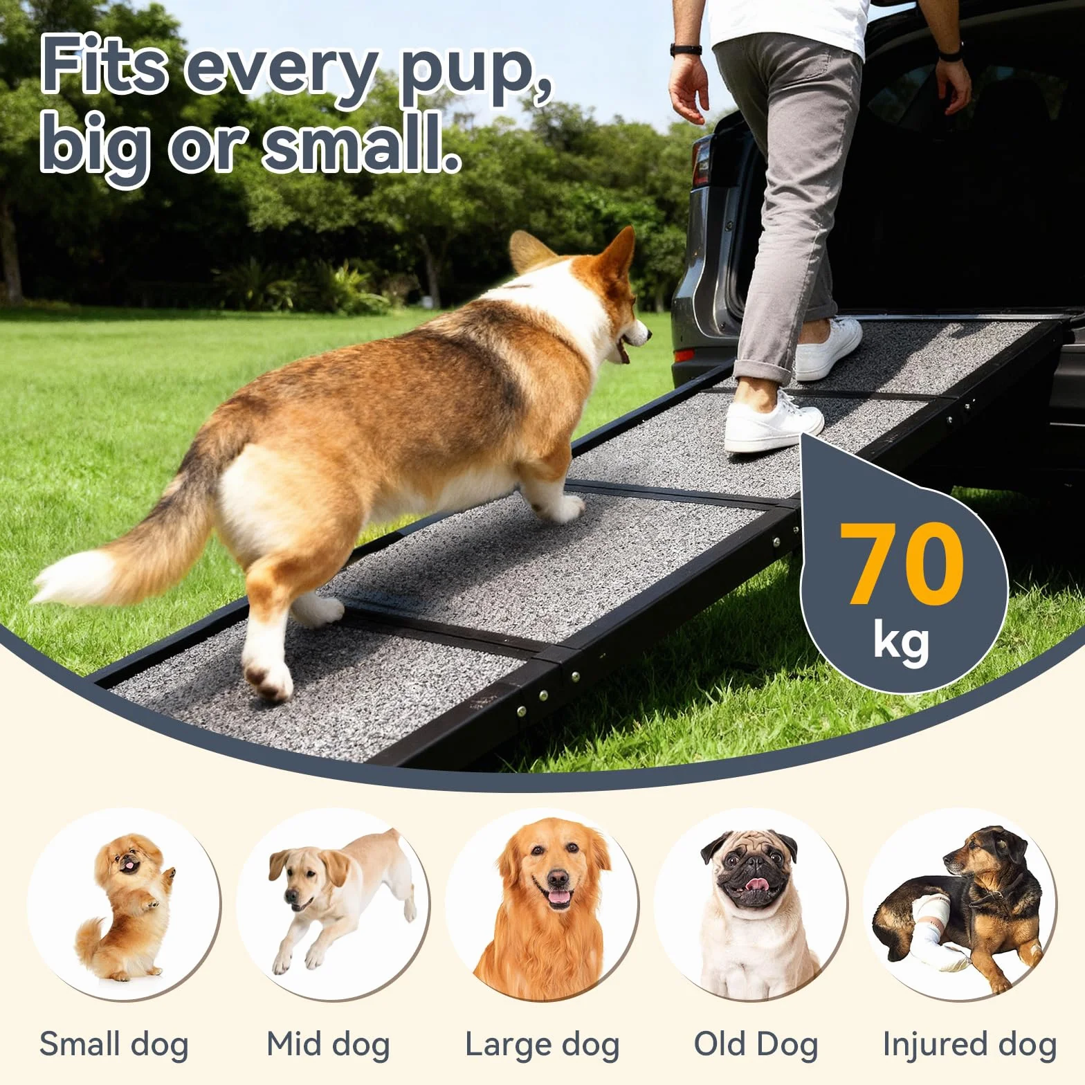 Rampa para Perros, 170x44 cm Coche Plegable,Soporta hasta 70kg Rampa de Aluminio Antideslizante con Superficie de PVC para SUV Camas Altas y Escaleras para Perros Portátil Negro
