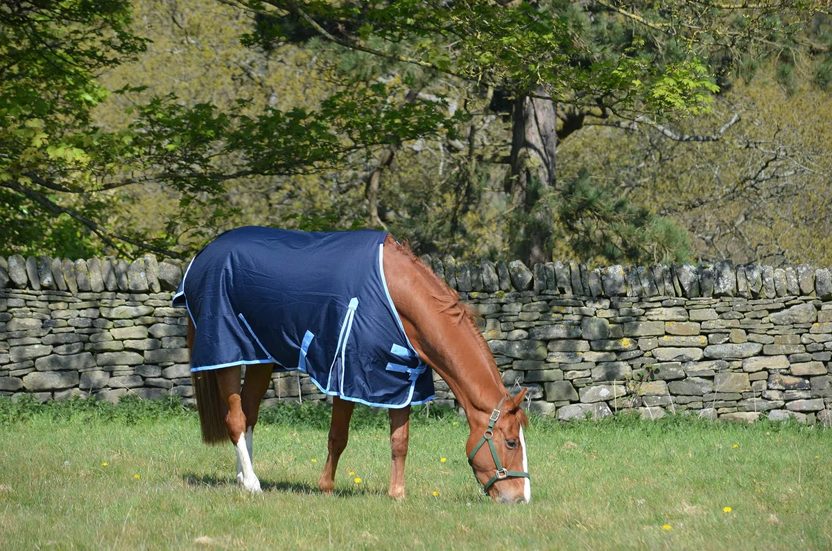 600d - Alfombra impermeable de peso medio para caballos (200 g), color azul marino