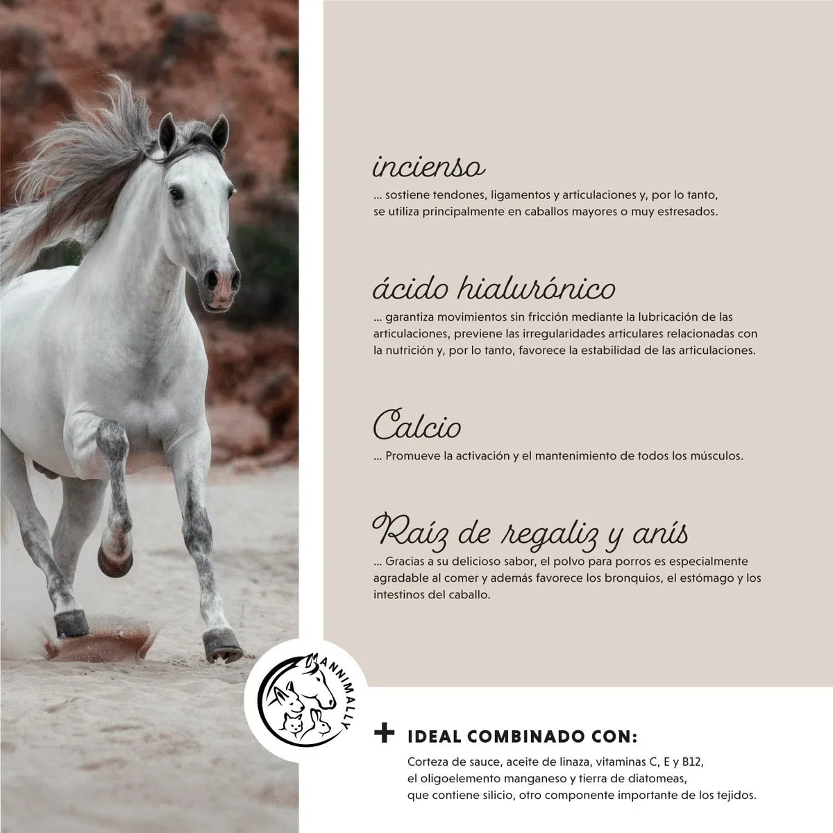 Polvo para articulaciones para caballos 850g con colágeno, manzanilla, MSM (azufre), glucosamina, ácido hialurónico, condroitina - Complemento alimenticio para fortalecer las articulaciones caballo